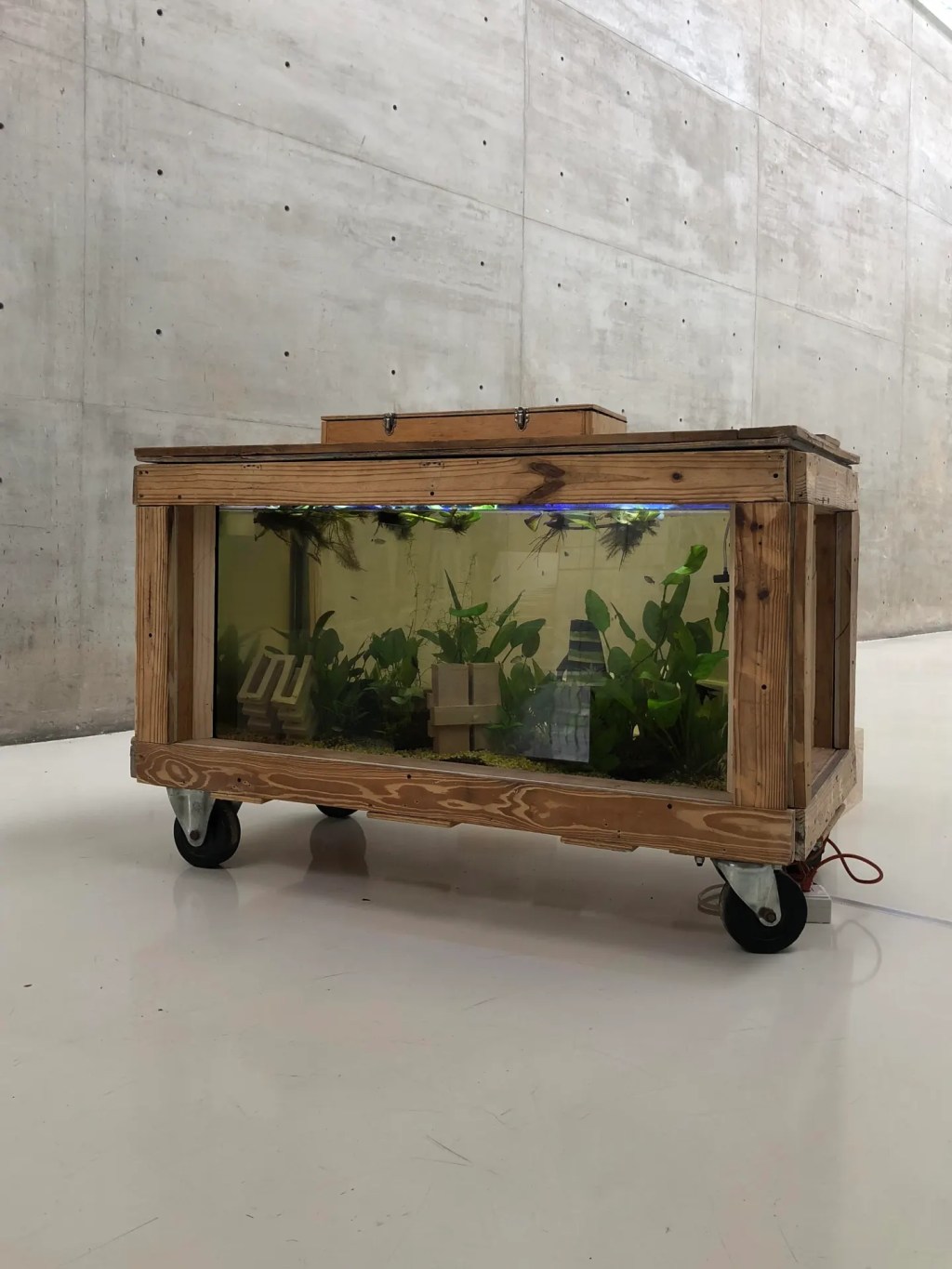 A walk with MAREK WOLFRYD