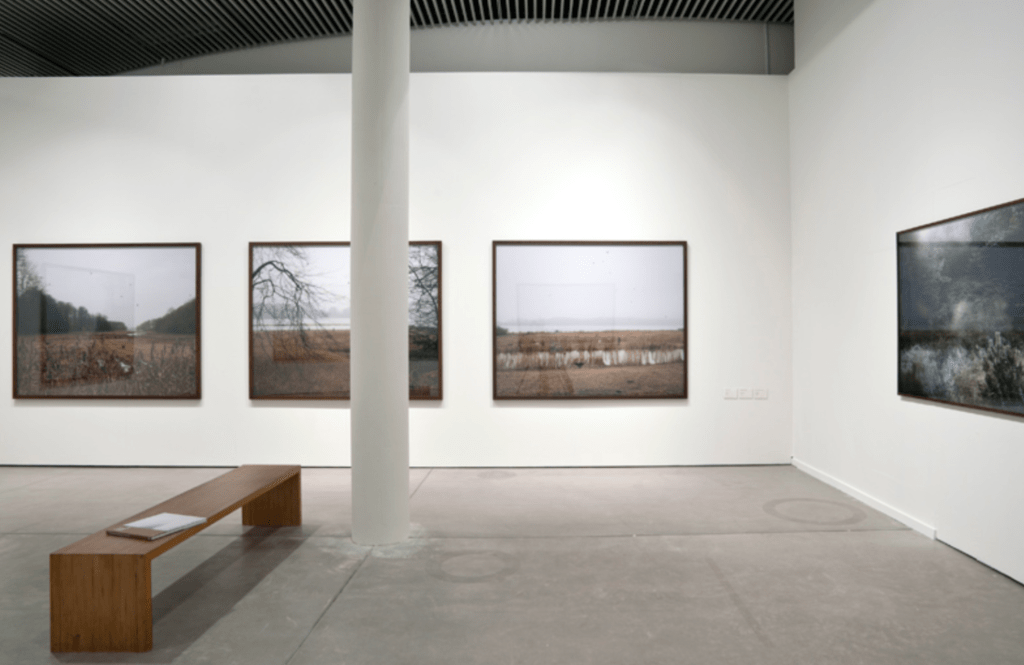 Q&A with NICOLAI HOWALT