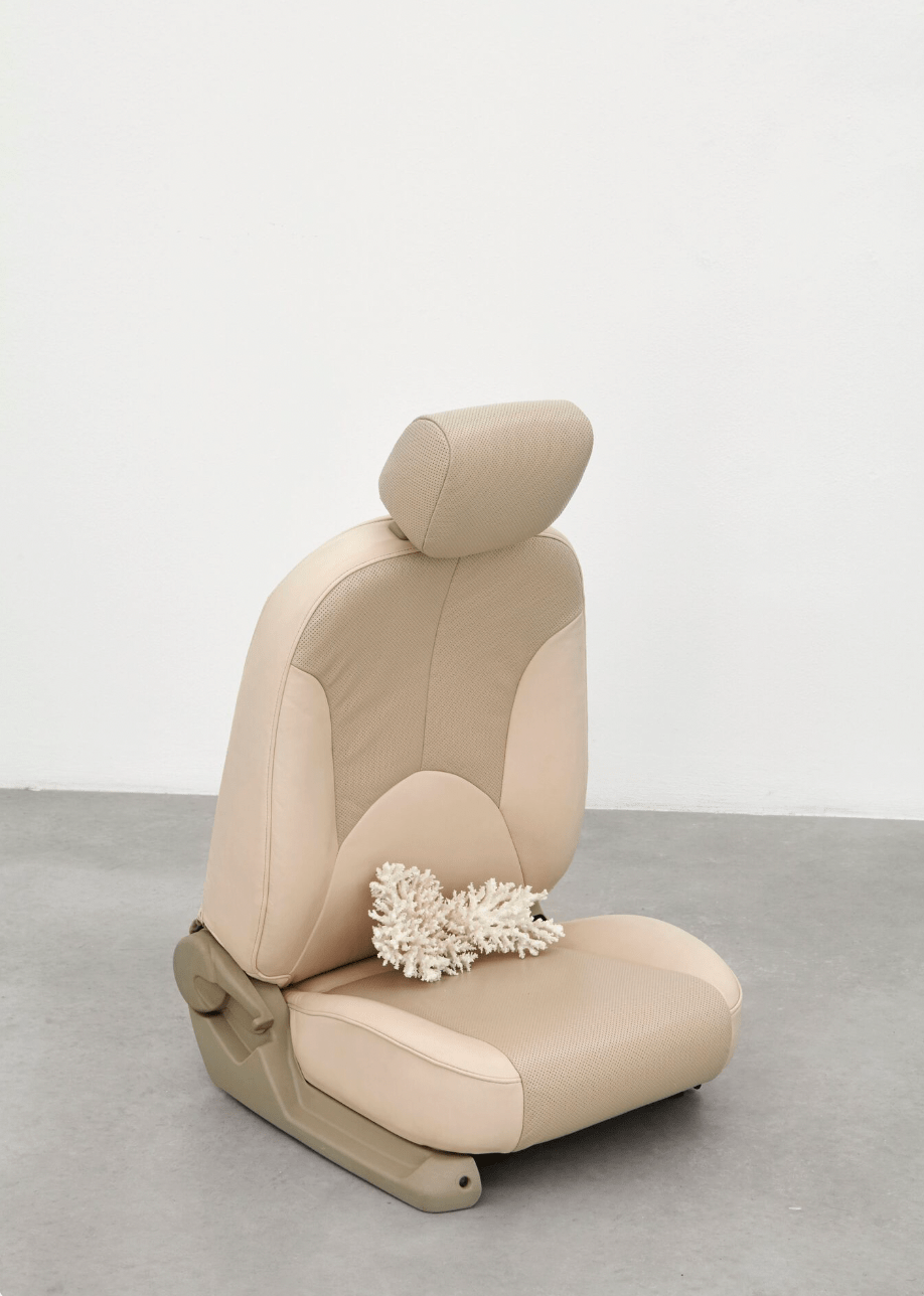 Q&A with NONA INESCU